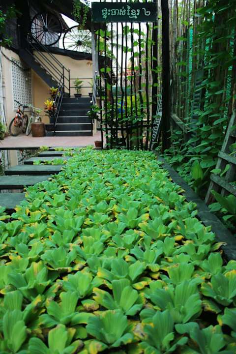Garden View Old Khmer House 2