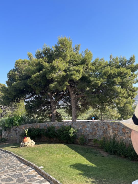 Gartenanlage Creta Maris Resort