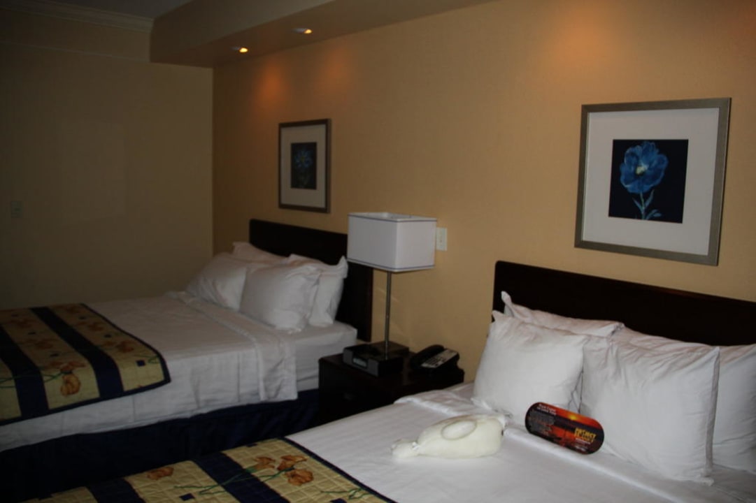 Betten Hotel Springhill Suites by Marriott Tampa Brandon