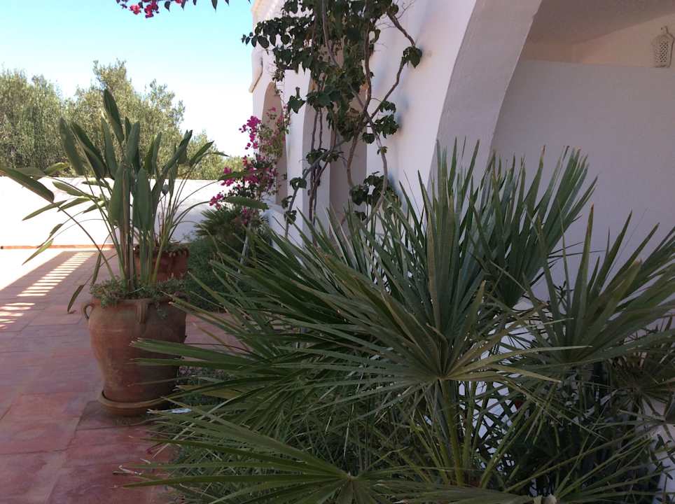 Außenansicht Maison dˋHôte Domaine El-Manar