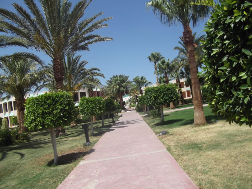 Путь с моря Blend Club Aqua Resort