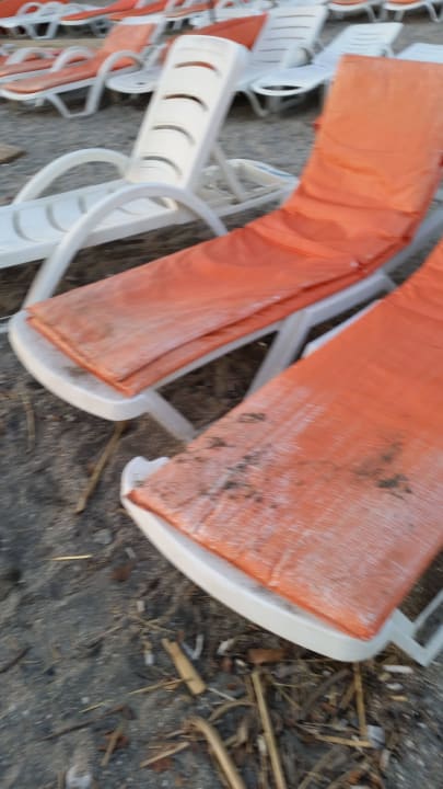 Sauber einladend Hotel Club Tess