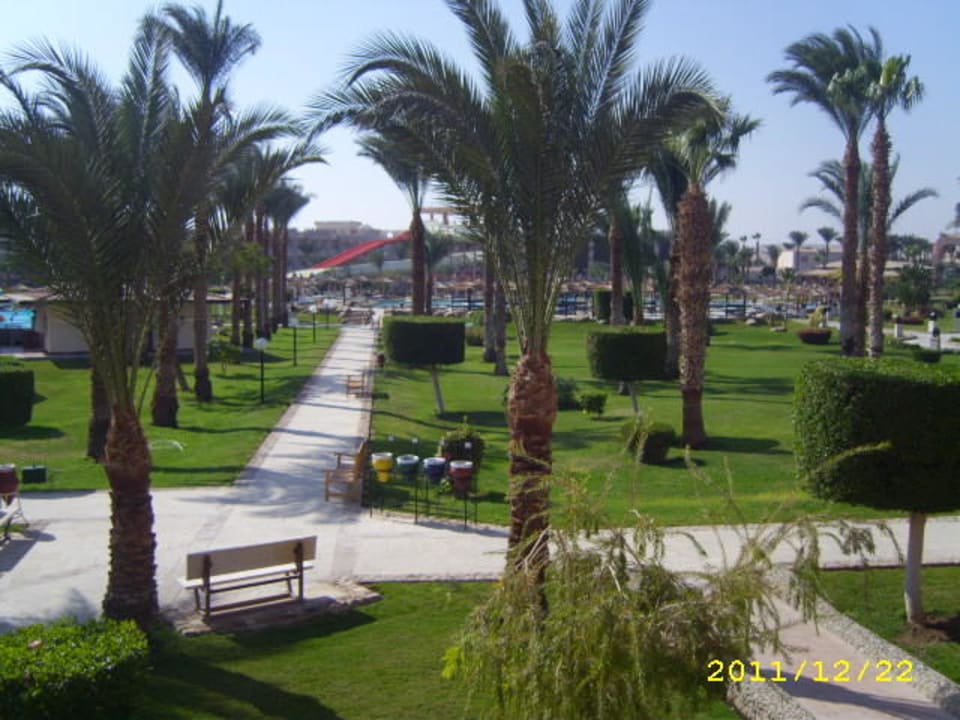 Вид на территорию Beach Albatros Resort