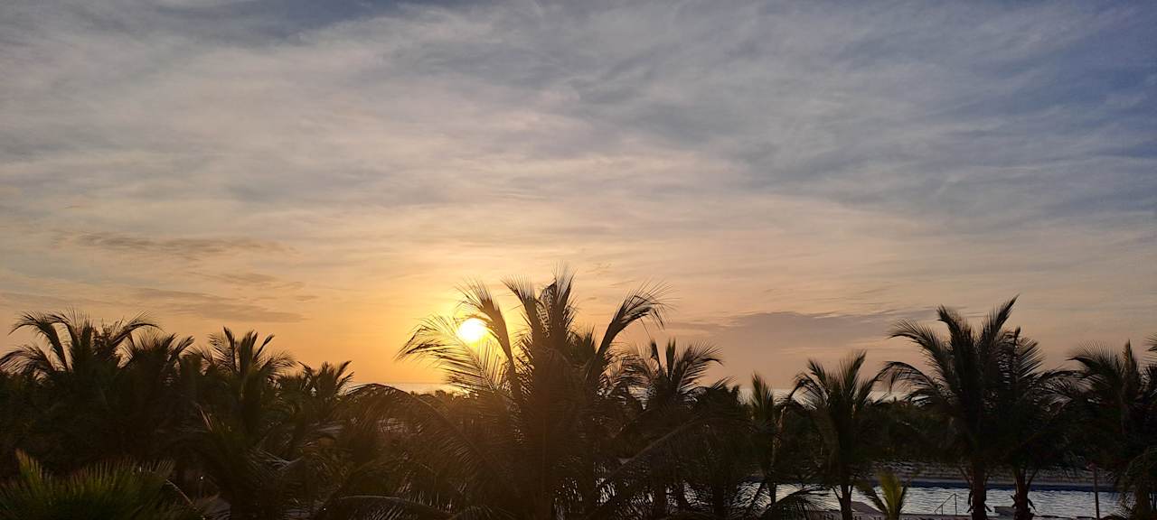 Ausblick Hotel Riu Baobab - All Inclusive