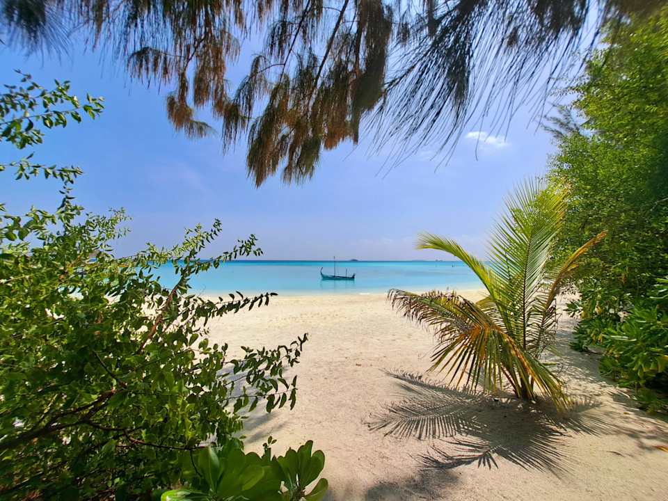 Strand Summer Island Maldives