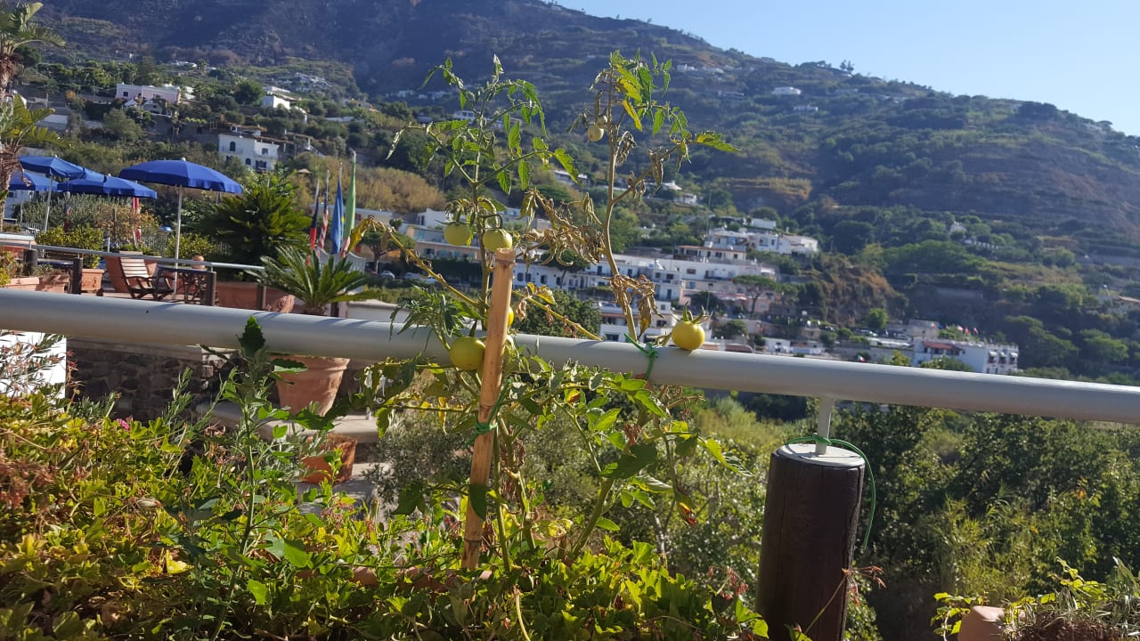 Ausblick Hotel Belvedere