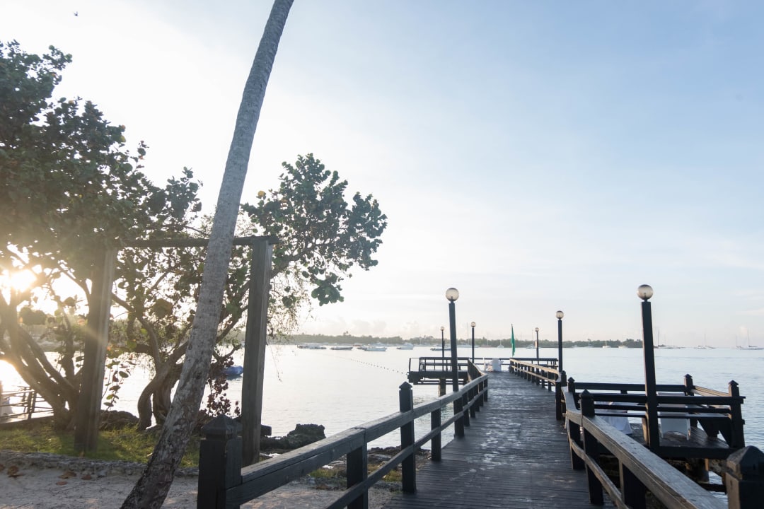 Ausblick Dreams La Romana Resort & Spa