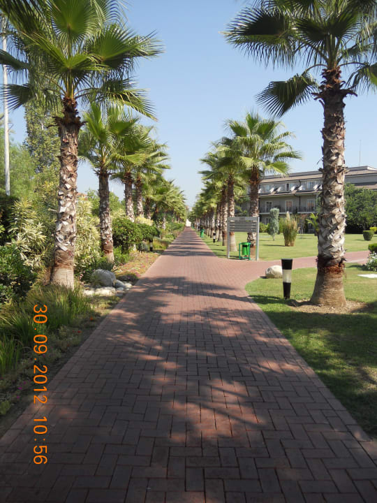 Sehr sauber und wunderschön Sunis Elita Beach Resort & Spa