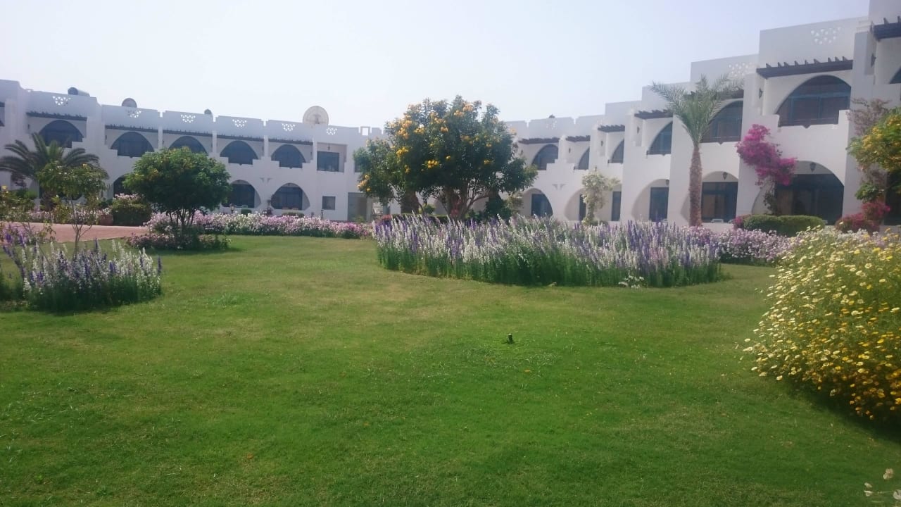 Zimmer und Gartenanlage Three Corners Equinox Beach Resort