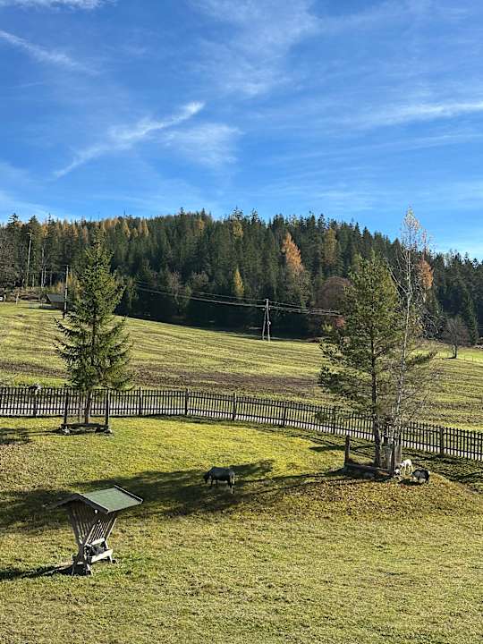 Außenansicht Die Seitenalm