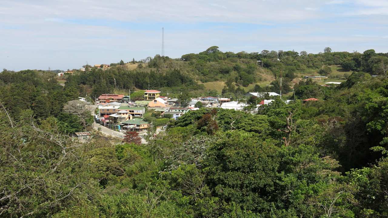 Santa Elena Hotel Ficus Sunset Suites