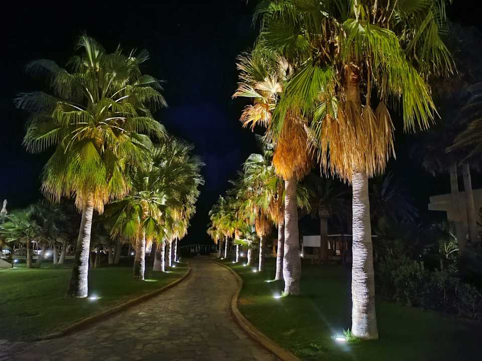 Gartenanlage Calimera Sirens Beach