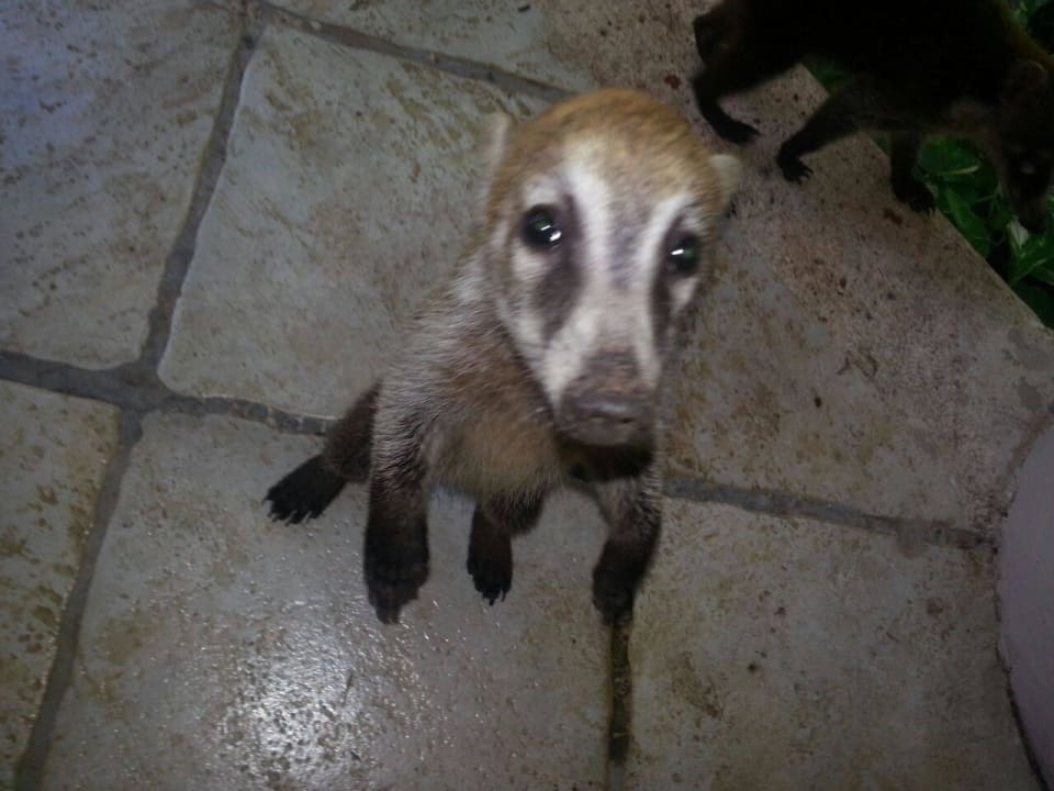 Hotel Catalonia Playa Maroma Catalonia Playa Maroma