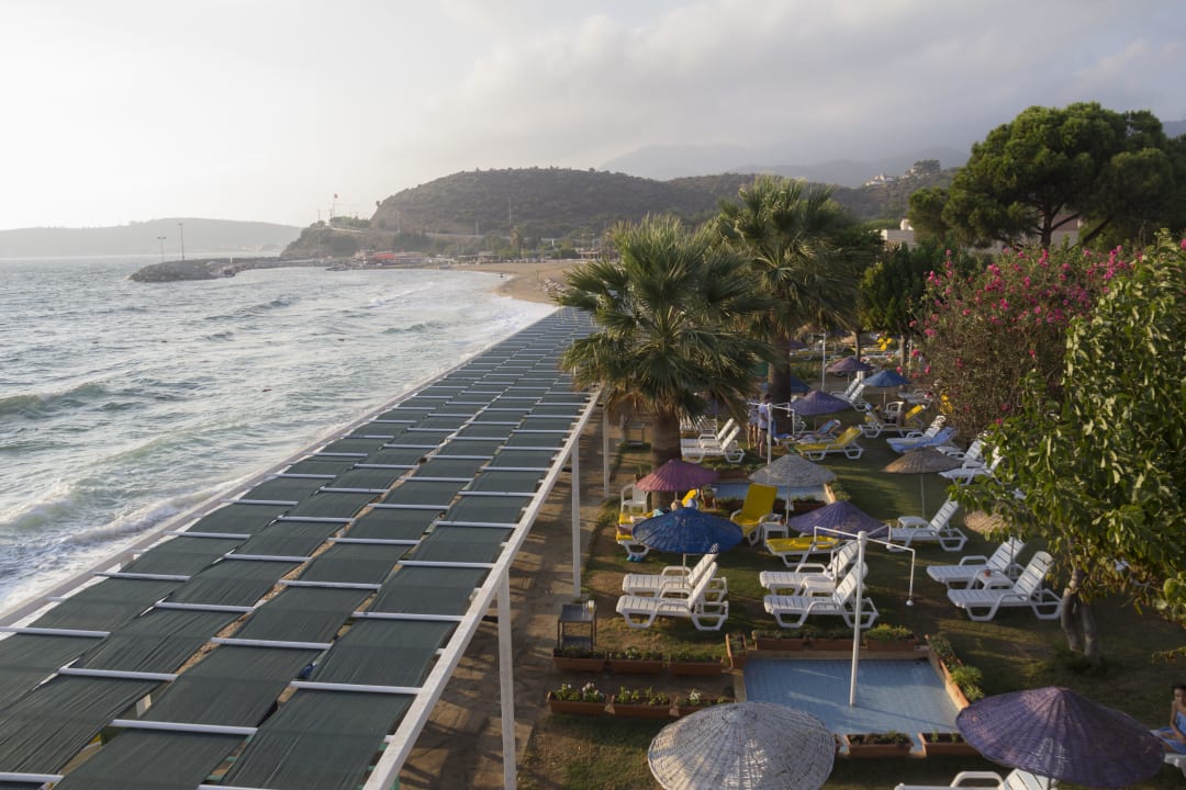 Liegen nahe dem Hotelstrand. Hotel Grand Efe