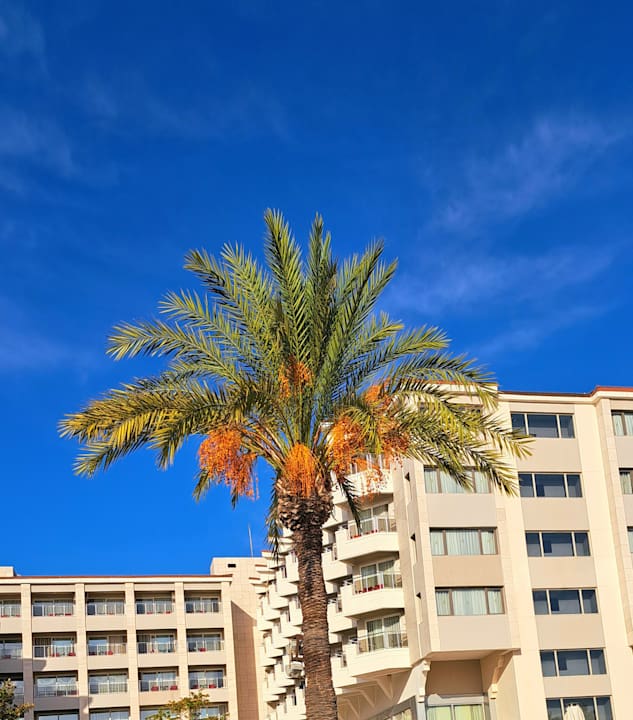 Außenansicht Hotel Terrace Beach Resort