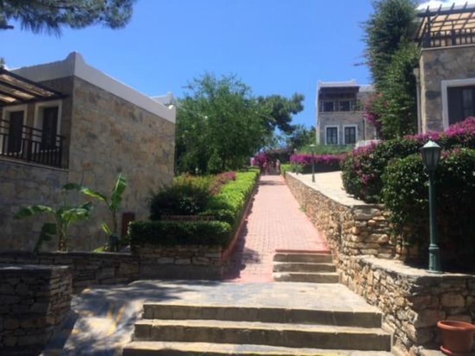 Vom  Pool zum Hauptgebäude Bodrum Park Resort