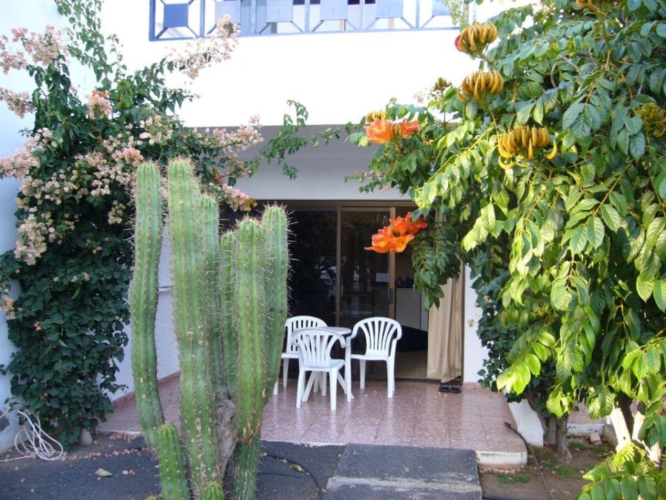 Appartement Erdgeschoss Relaxia Olivina