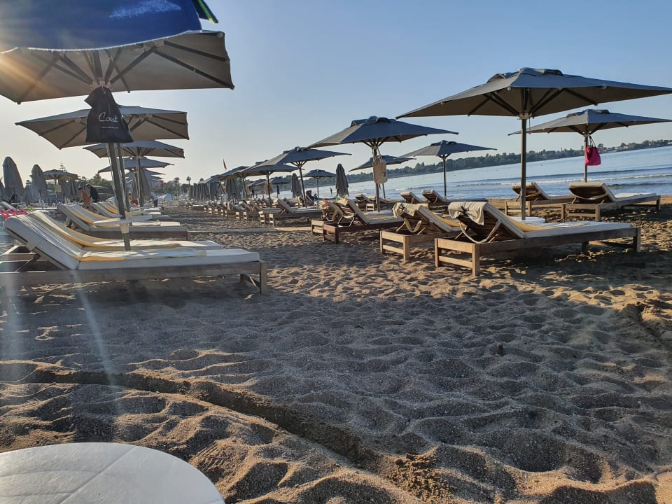 Strand Acanthus Cennet Barut Collection