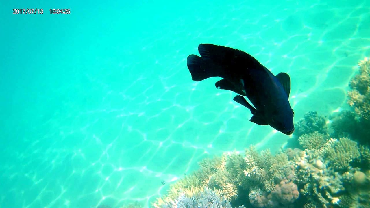 Strand Cleopatra Luxury Resort Makadi Bay