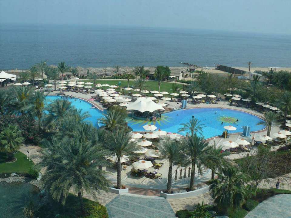 Poolblick Hotel Le Meridien Al Aqah Beach Resort