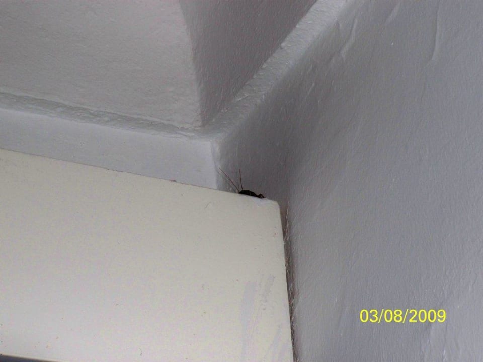 Voll Kakalake Hotel Sangho Club Zarzis