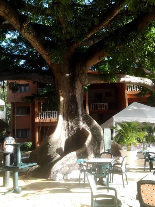 Poolanlage BelleVue Dominican Bay