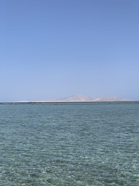 Ausblick Steigenberger Alcazar