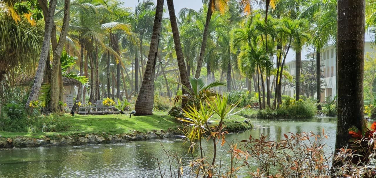 Gartenanlage Catalonia Punta Cana - All Inclusive
