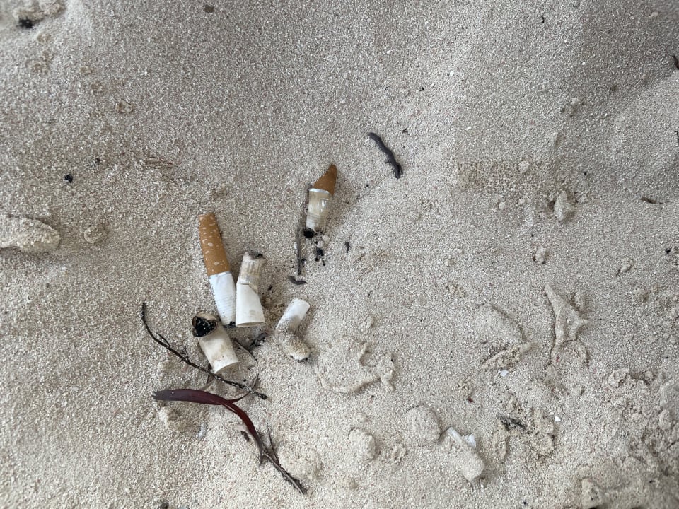 Strand Caribe Deluxe Princess