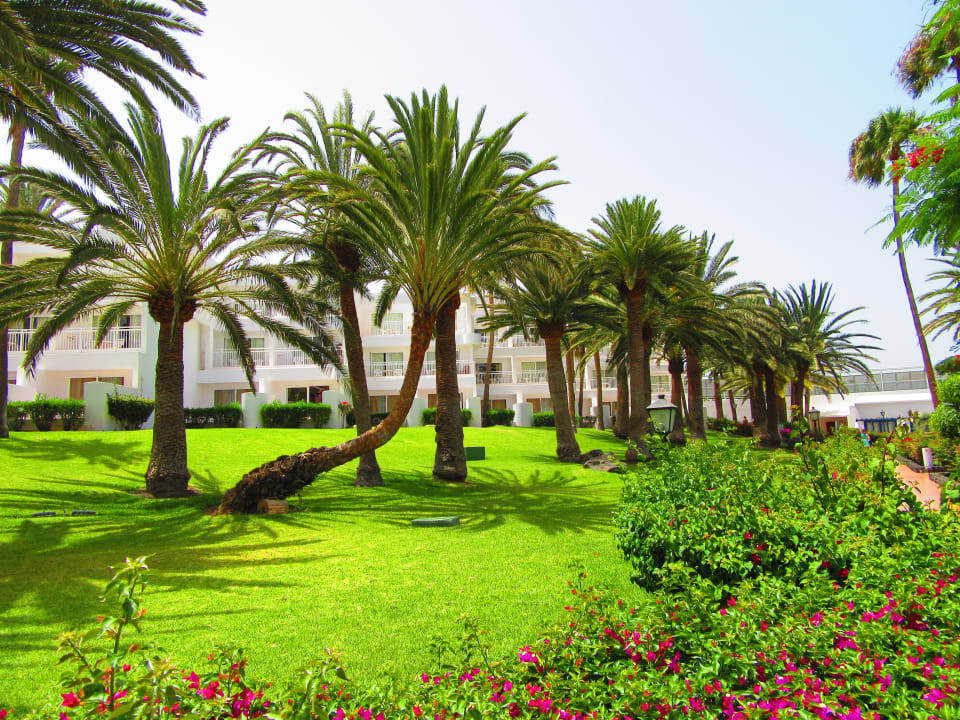 Gartenanlage Hotel Riu Paraiso Lanzarote