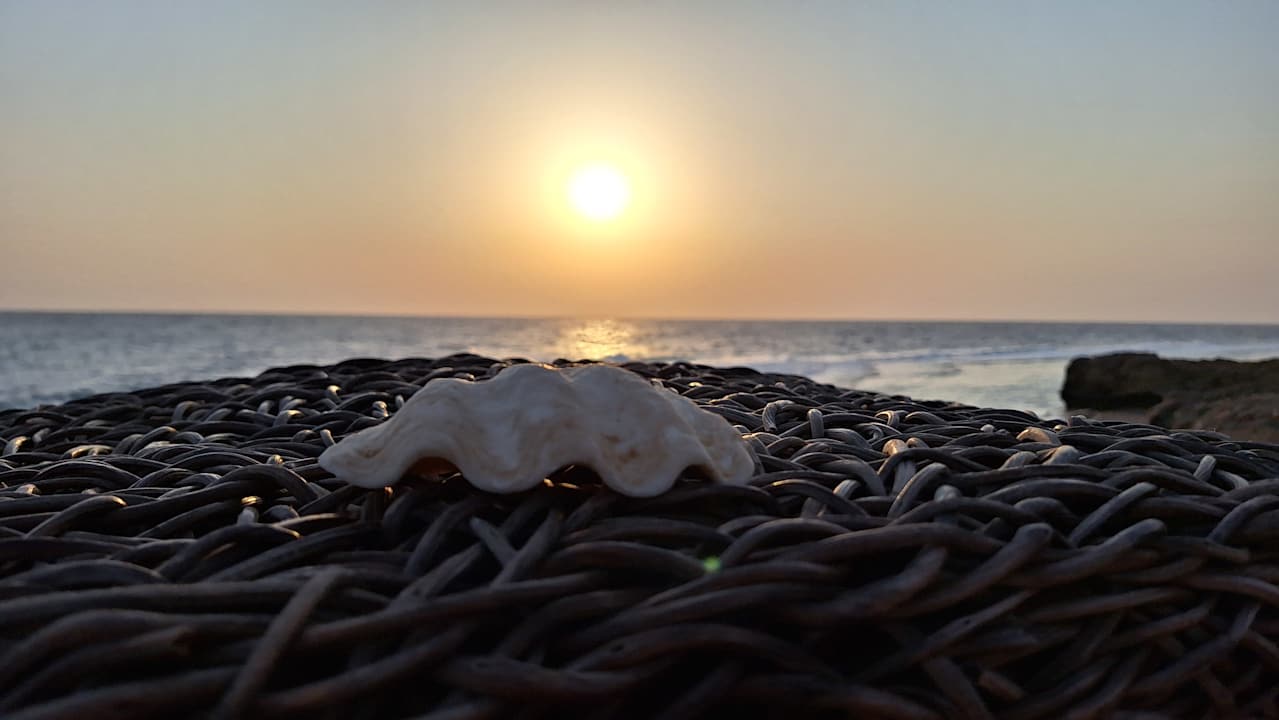 Strand Amarina Jannah Resort & Aqua Park Marsa Alam