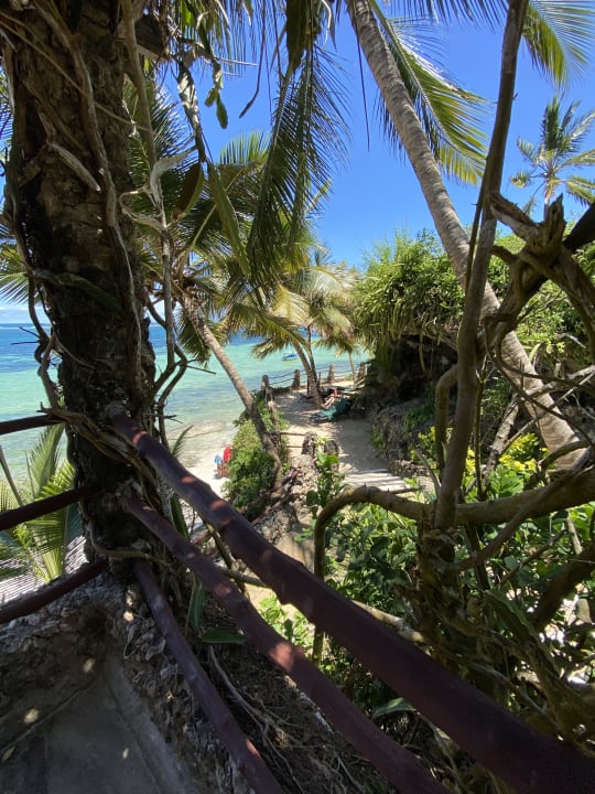 Gartenanlage Bahari Beach Hotel