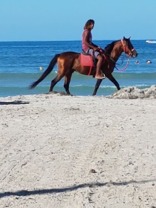 Strand Iberostar Waves Mehari Djerba
