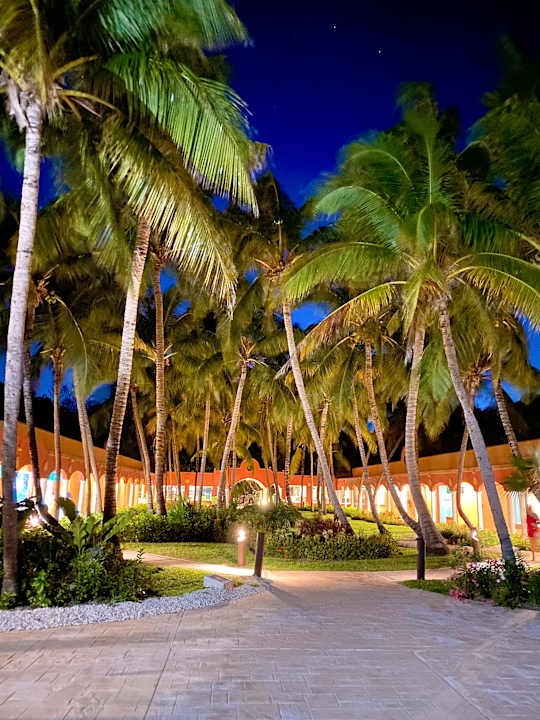 Gartenanlage Catalonia Playa Maroma