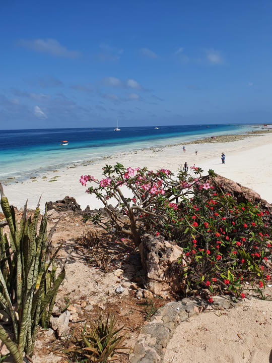 Ausblick Royal Zanzibar Beach Resort