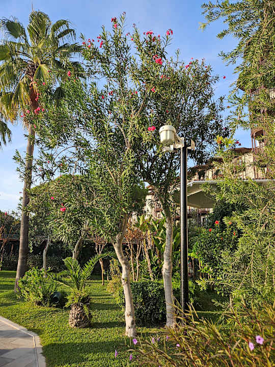 Gartenanlage Selectum Family Resort Belek
