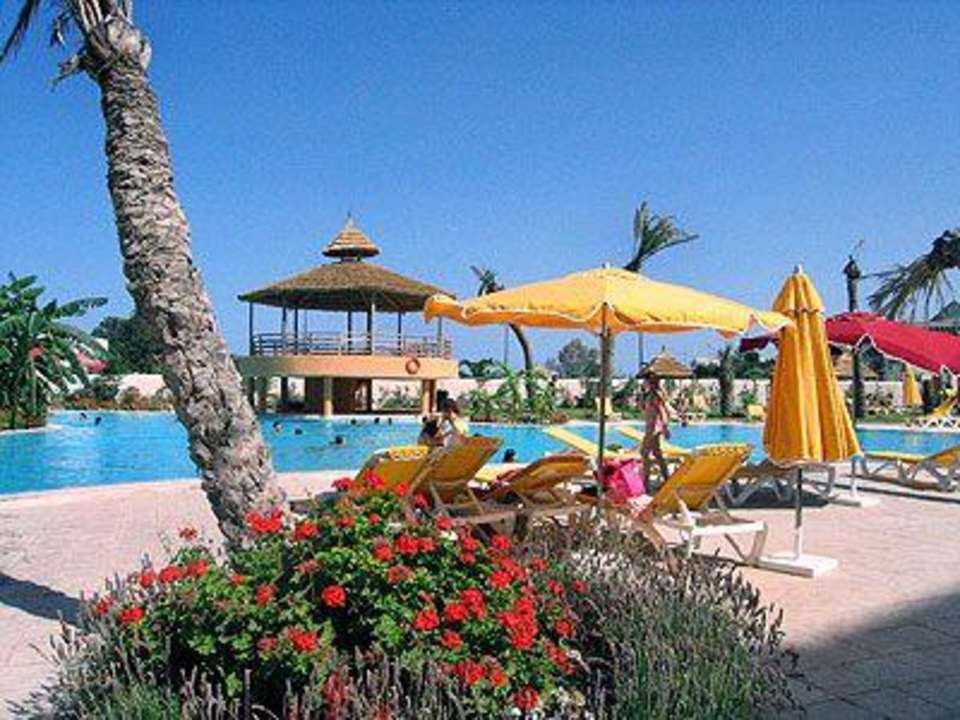 Pool Hotel African Queen