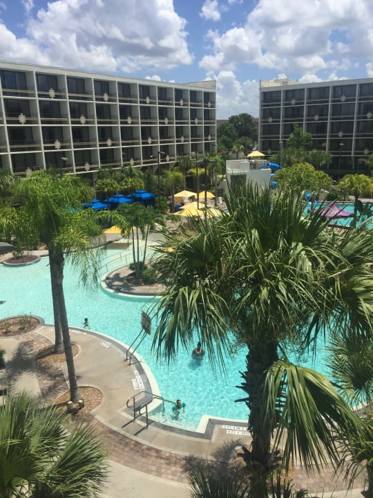 Ausblick Four Points by Sheraton Orlando International Drive
