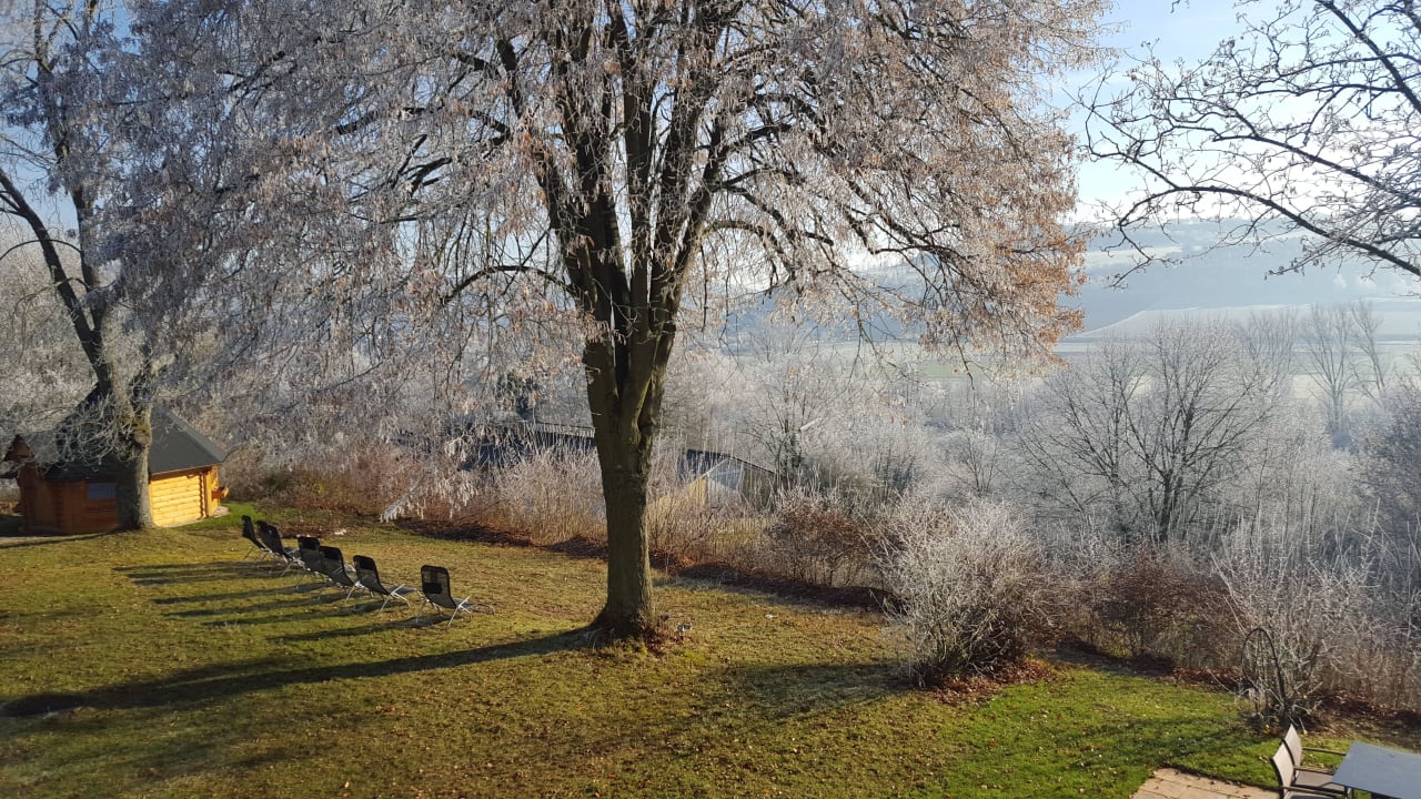 Blick vom Balkon Zimmer 22 Kategorie Erlenbach Vitalhotel König am Park