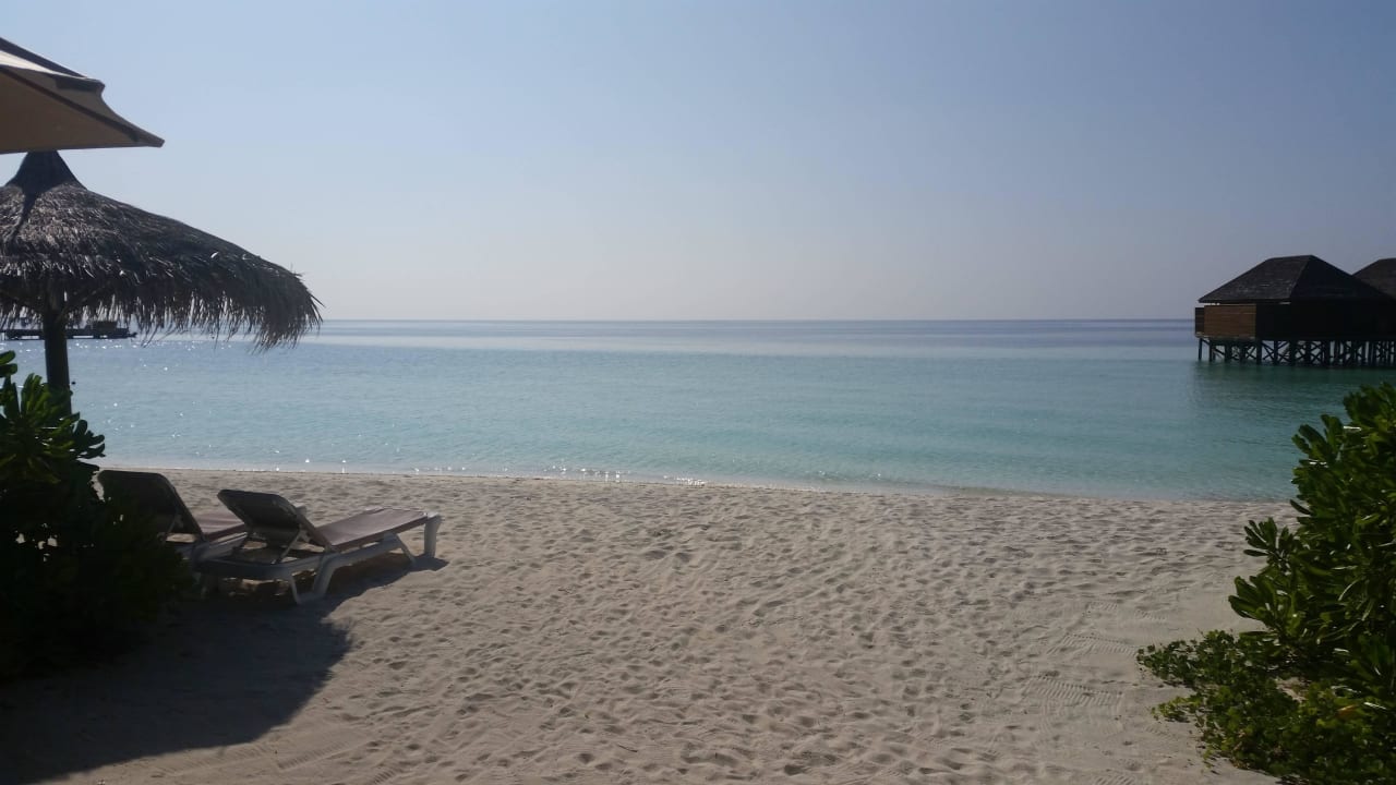 Blick von der Terrasse Veligandu Maldives Resort Island