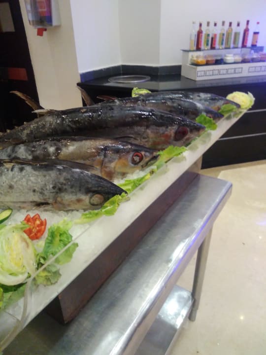 Gastro Cleopatra Luxury Resort Makadi Bay