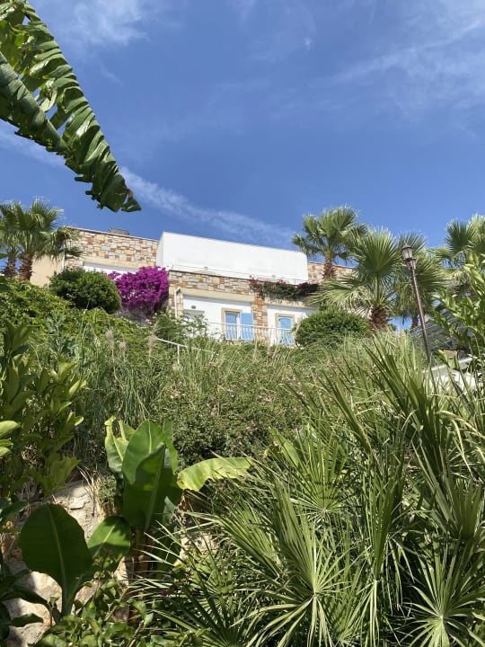 Zimmer TUI MAGIC LIFE Bodrum - Adult Only (16+)