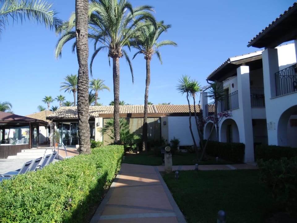 Weg zum Pool und Terrasse Botel Alcudiamar
