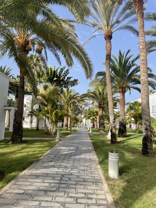 Gartenanlage Hotel Riu Palace Meloneras