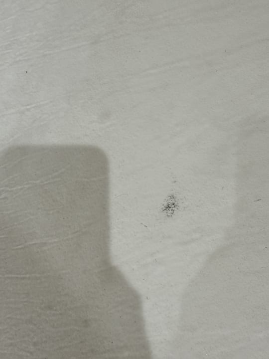 Zimmer PortBlue Club Pollentia Resort & Spa