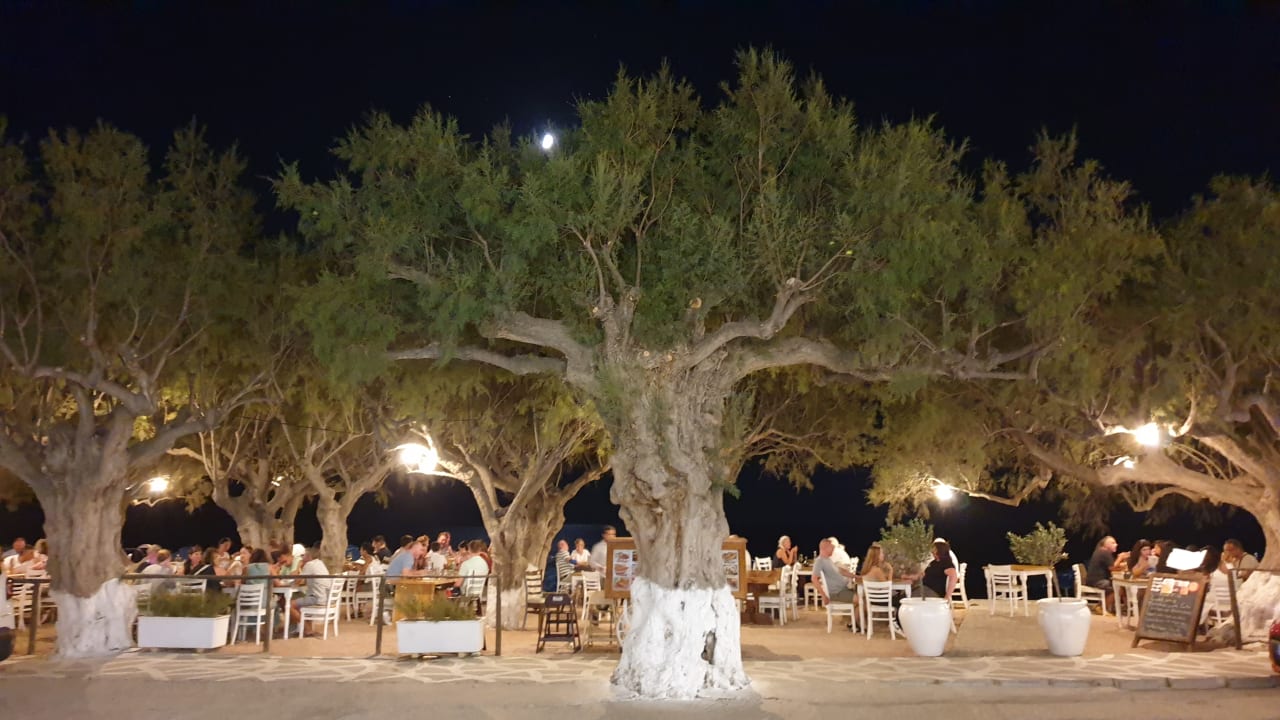 Strand Alianthos Garden Hotel