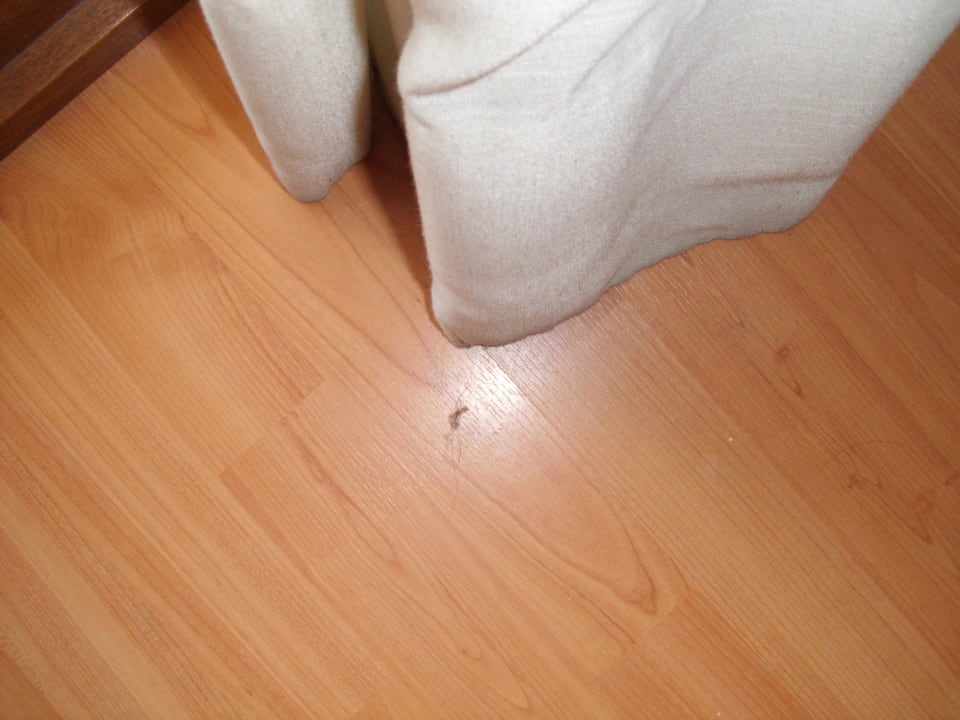 Vorhang BLUESEA Gran Cervantes