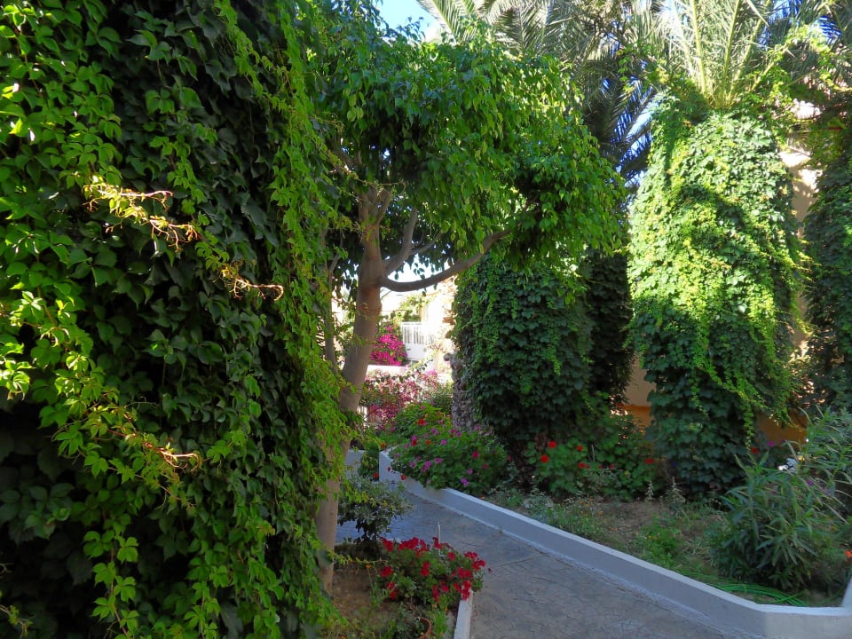Blick in den Garten vom Zimmer Nefeli Hotel Rethymno