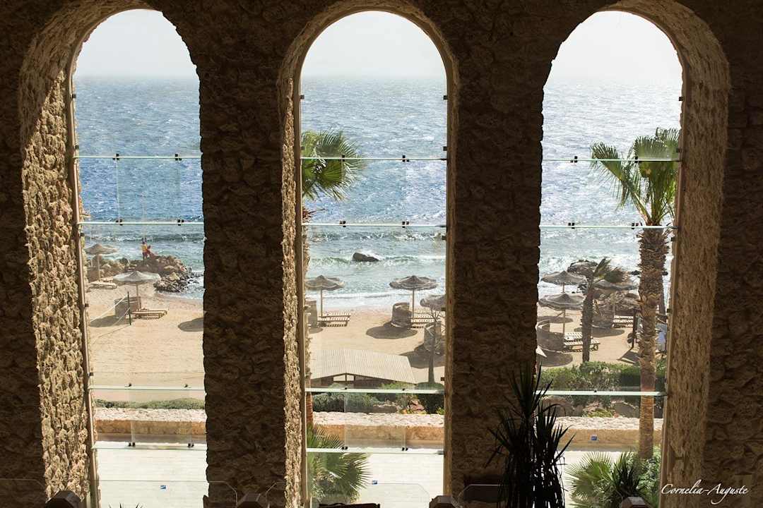 Fensterblick Pickalbatros Citadel Resort