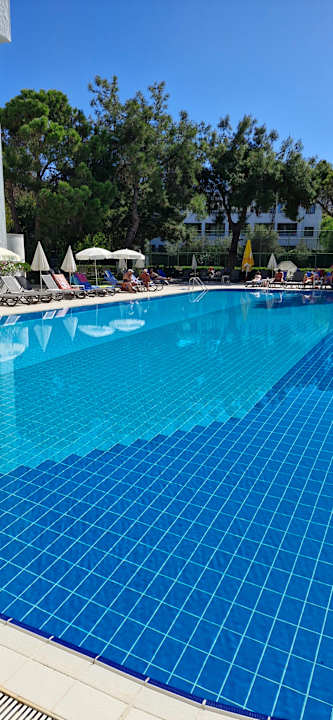 Pool Asteria Collection Side